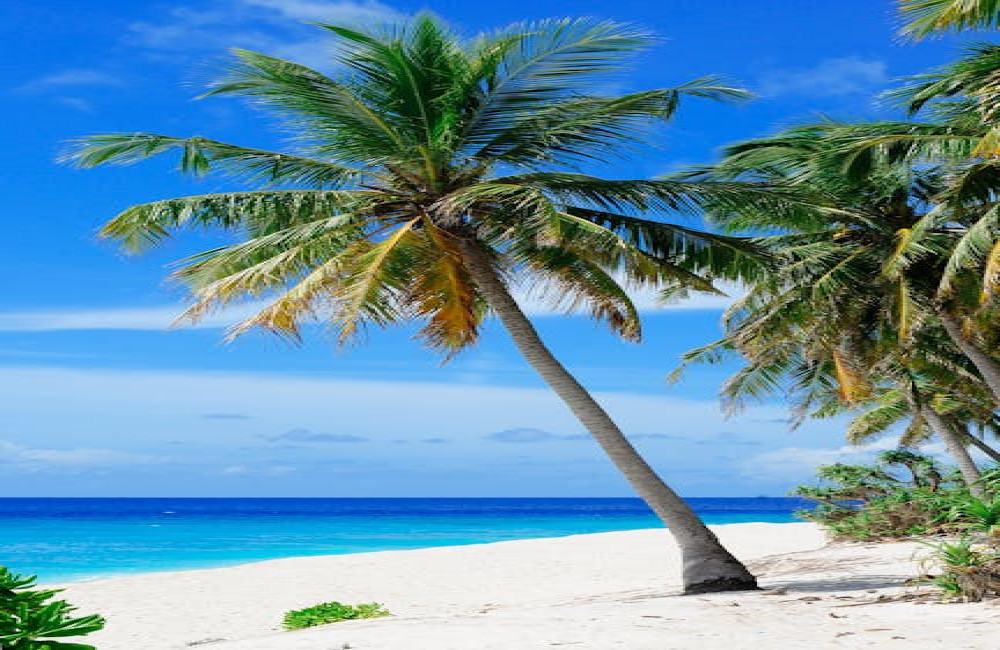 Wat zijn de goedkoopste bestemmingen voor een zonvakantie in Europa?