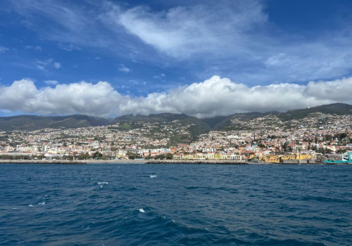 Hoe warm is het op Madeira in november 2026 en kun je dan nog zwemmen in zee